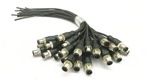 Lunghezza di cavo modellata sovra- del sensore dell'assemblaggio cavi M12 del connettore circolare 100/200mm